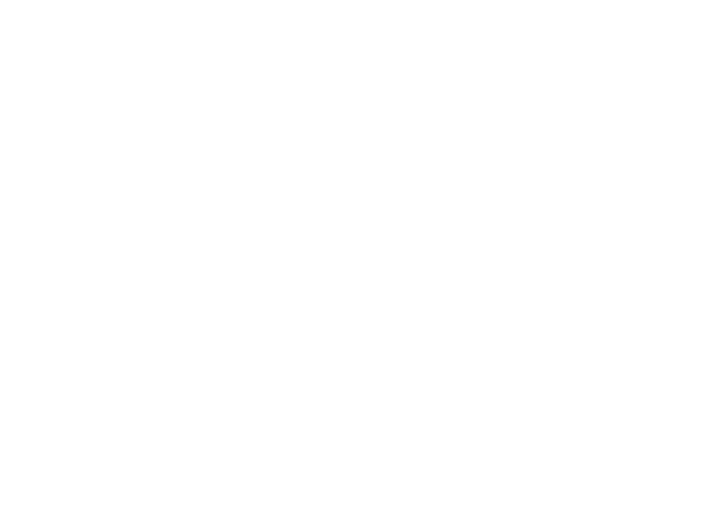 PX4 Autopilot