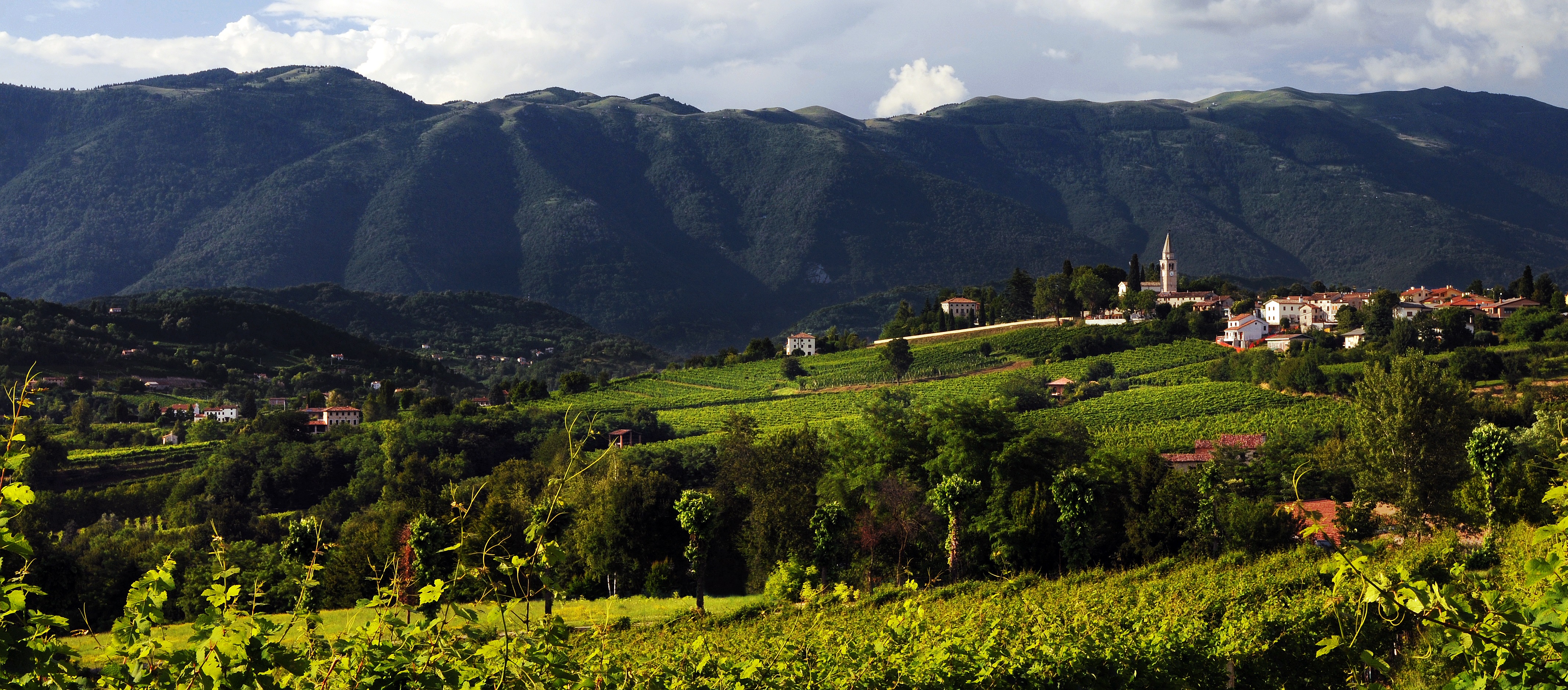 Hills and countryside of the Marca Trevigiana, Veneto